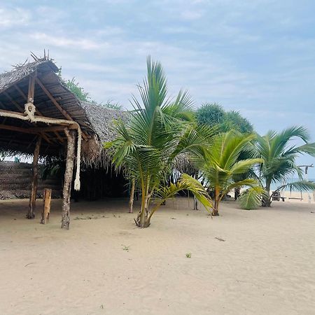 Surfing Beach Nilaveli ตรินโคมาลี ภายนอก รูปภาพ